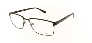 AVANGLION (AVO3598B-55)