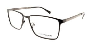 AVANGLION (AVO3734C-57)
